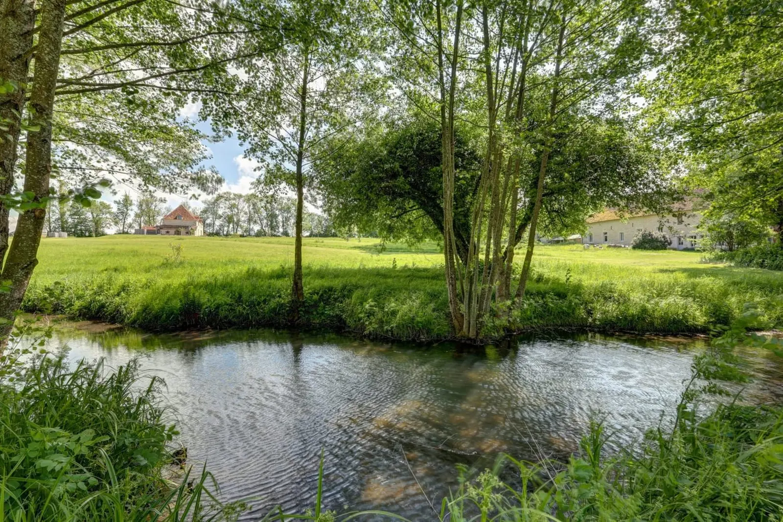 Le ruisseau qui traverse le domaine