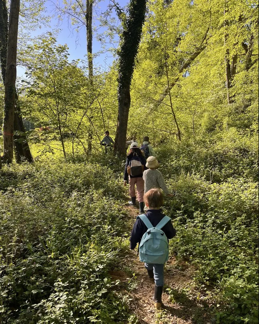 Les enfants en file sur un sentier de forêt