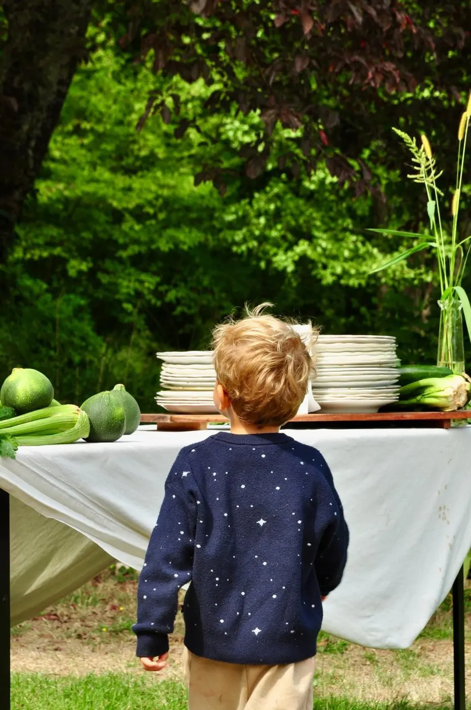 Un enfant devant la table dressée au jardin, au Domaine des Forges