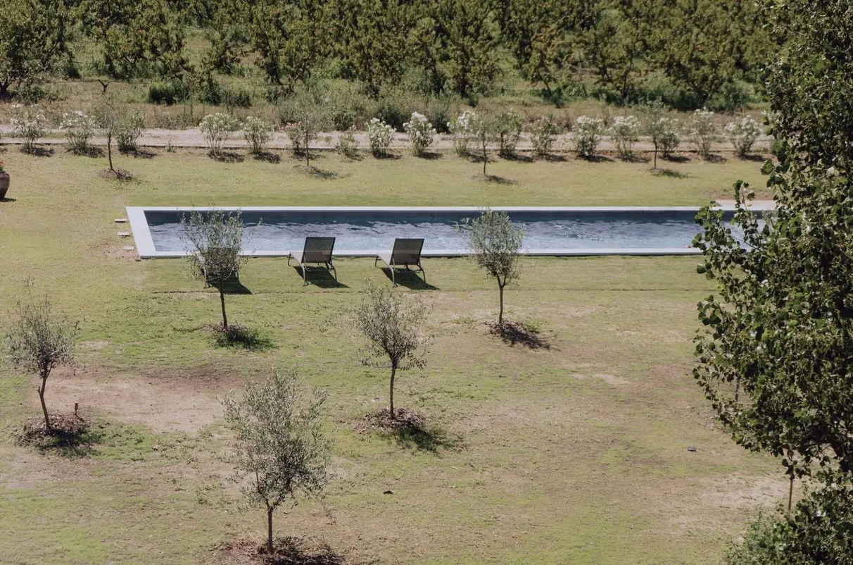 La piscine au milieu des oliviers
