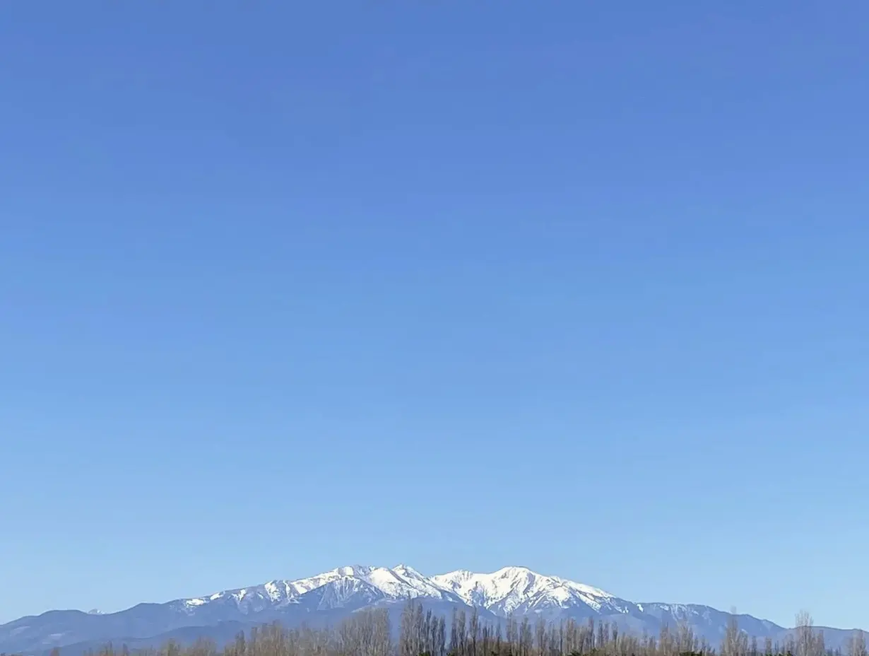 Le Canigou enneigé, vu du domaine